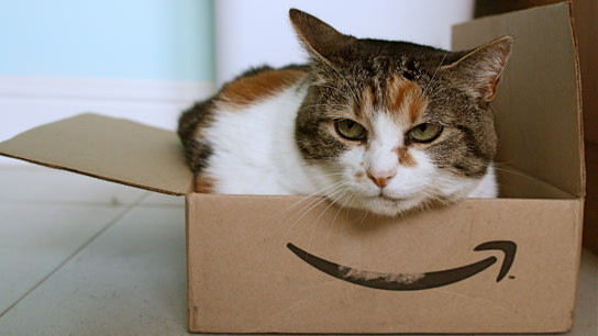 A grumpy-looking cat sitting in an open box with the Amazon smile logo.