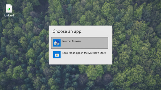 A dialog box prompting you to choose an app. You options is “Internet Browser” represented by a house icon, and “Look for an app in the Microsoft Store”.