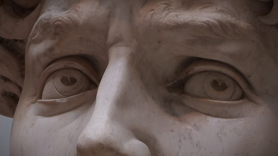 The slightly worried-looking eyes of the famous David statue by Michelangelo.