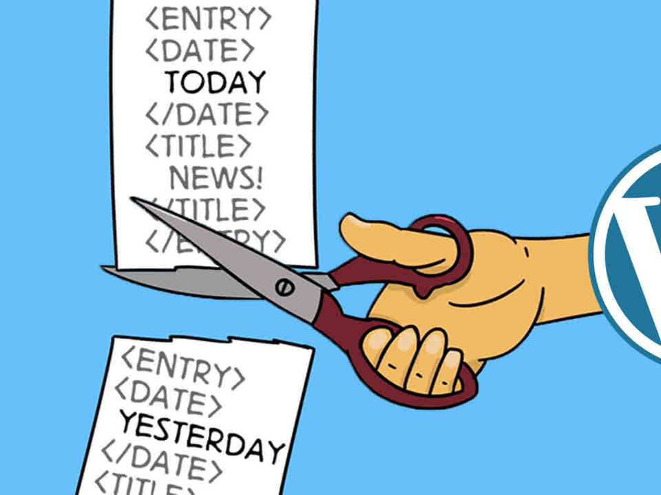 Feed Delta Updates plugin for WordPress