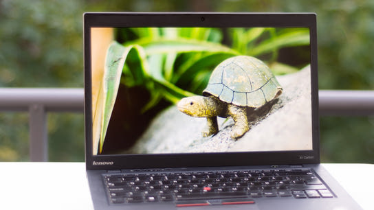 A Lenovo ThinkPad laptop computer displaying a photo of a turtle.
