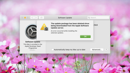 A dialog boxx saying “The update package has been deleted since being downloaded from the Apple Software Update server.”