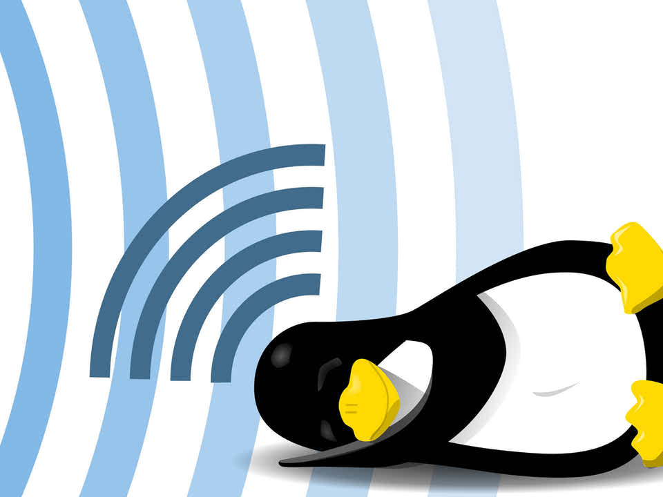 Sleep linux