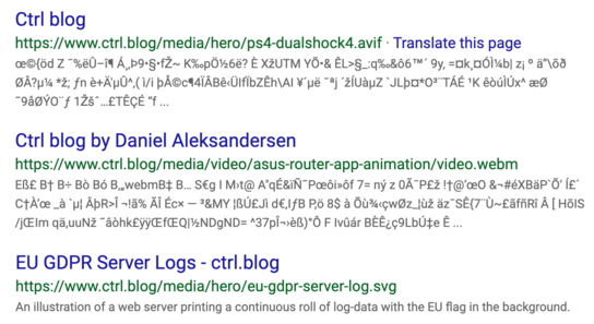 Bing search results showing search results with binary data as an unreadable Unicode text representation.